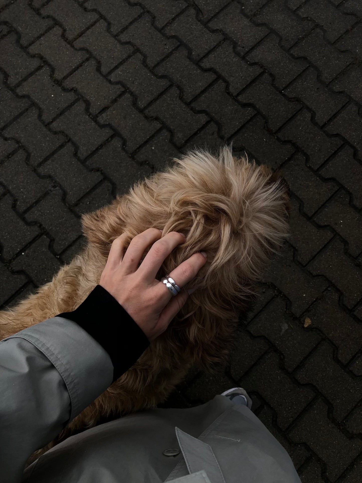 Prologue Ring Bold